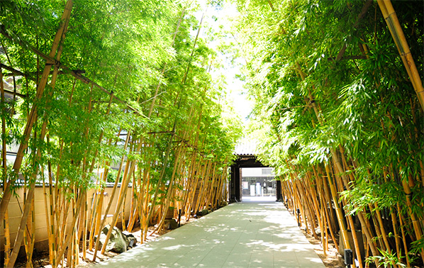 梅窓院　観音堂表道