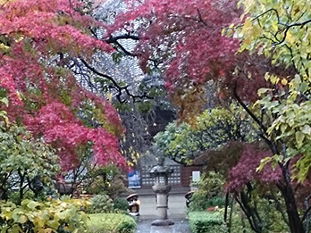 無量寺三宝会館式場