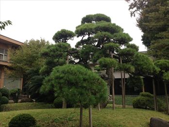 来福寺庭園