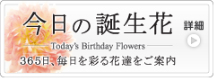 6月19日の誕生花