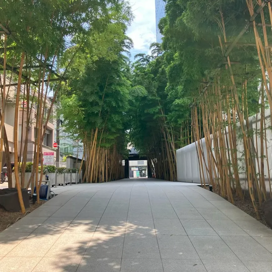 バス停留所から梅窓院 観音堂までの歩き方3