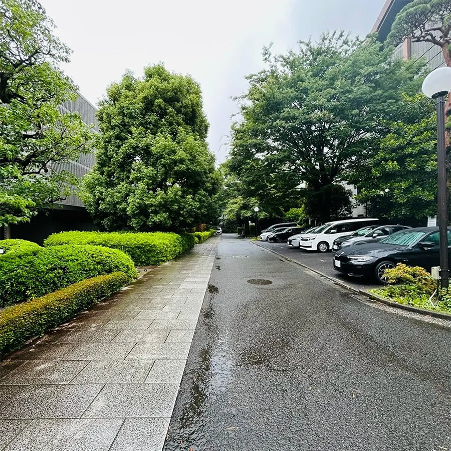 護国寺 桂昌殿まで徒歩で行く場合の道順8