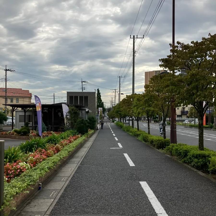 川口市めぐりの森まで徒歩で行く場合の道順4