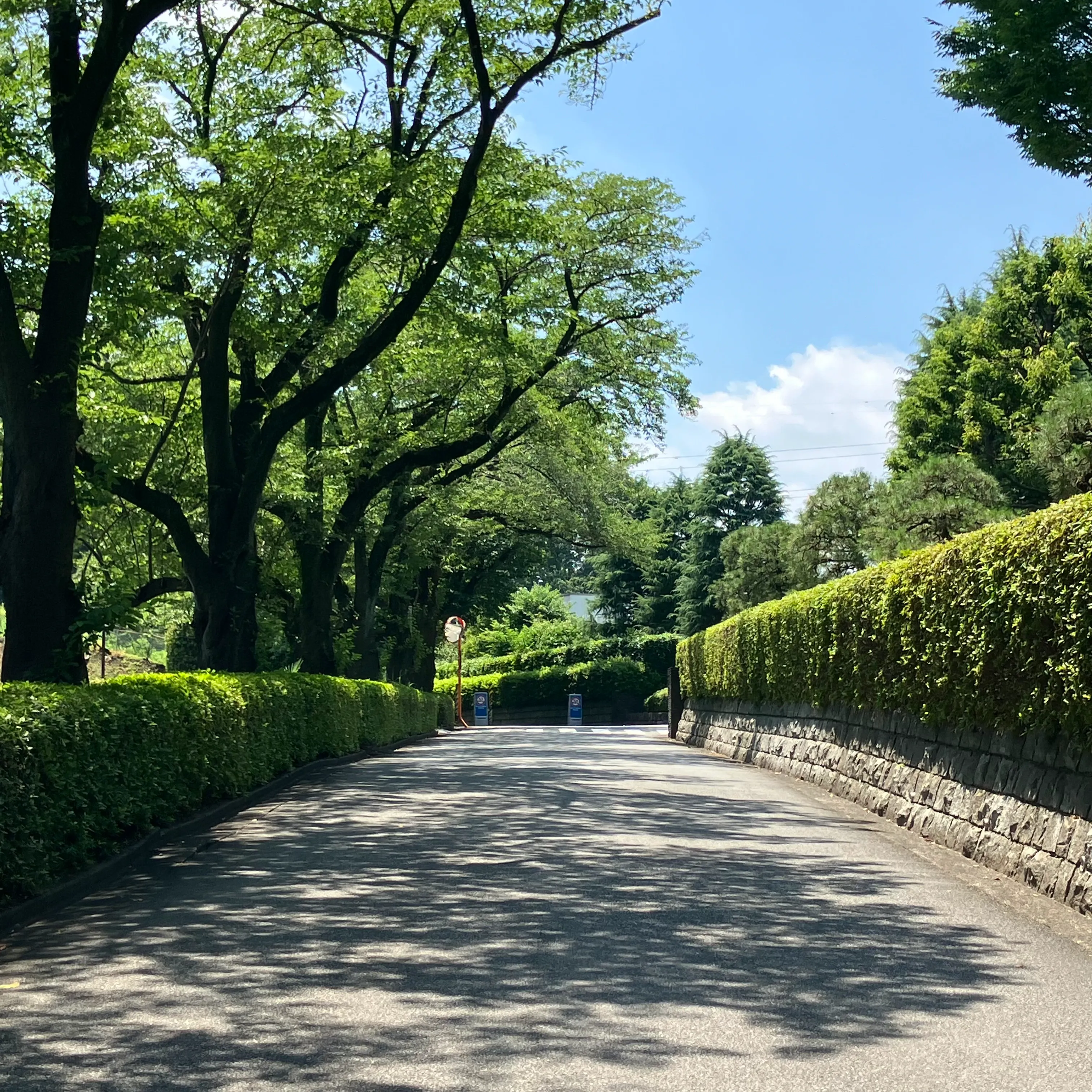 南多摩斎場まで徒歩で行く場合の道順6