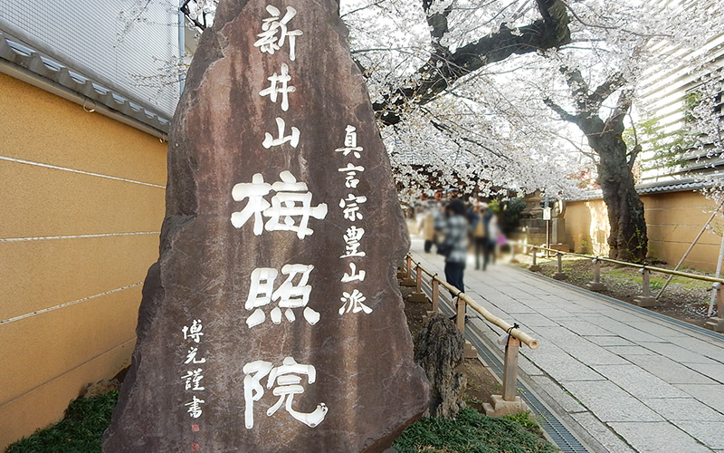 新井薬師寺(梅照院)