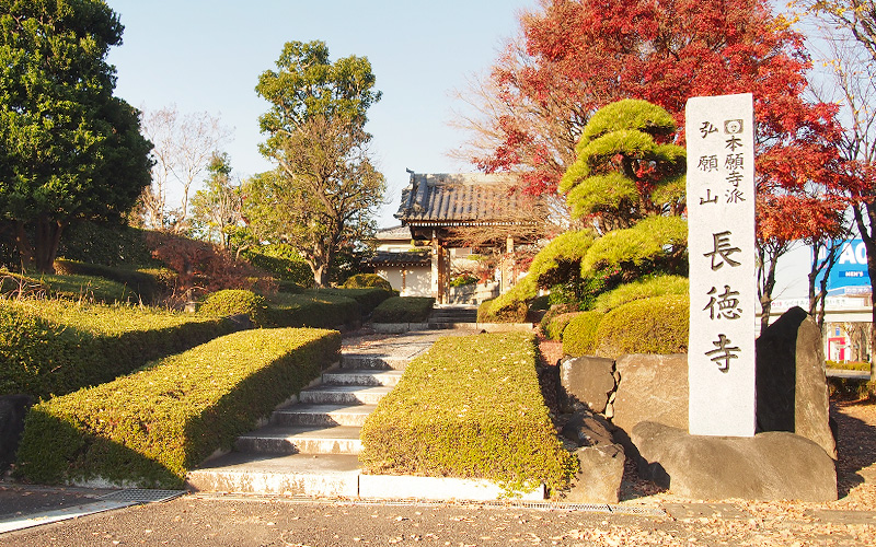 長徳寺 観照堂