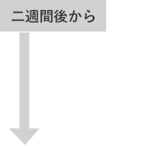 二週間後から