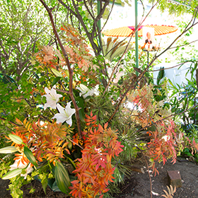 お部屋からも鑑賞できる枝やお花の壺活け