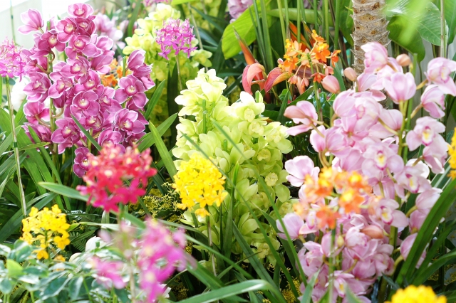 冬の花を組み込んだ祭壇