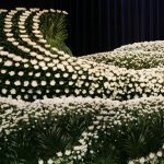 花祭壇で見送られた芸能人｜個性と功績を象徴する事例を紹介