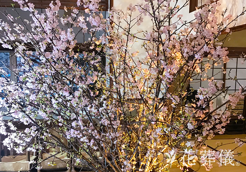 河津桜が咲き始める頃にの花祭壇