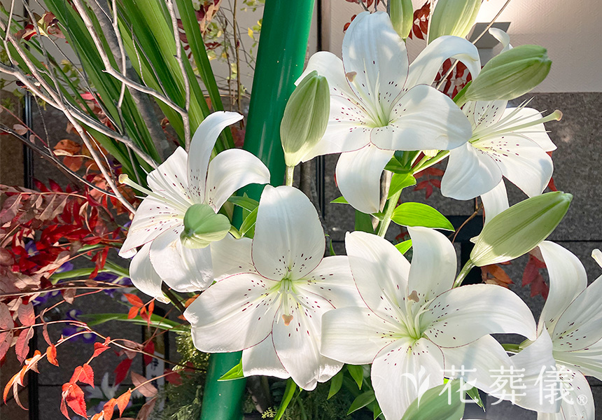 自宅の窓からの花祭壇