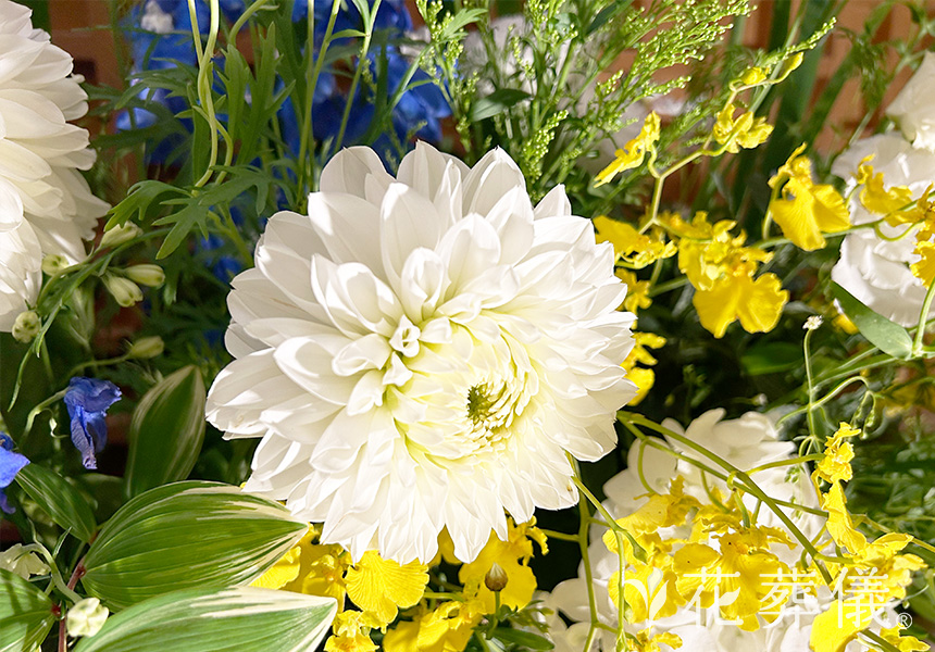 八重桜の花祭壇