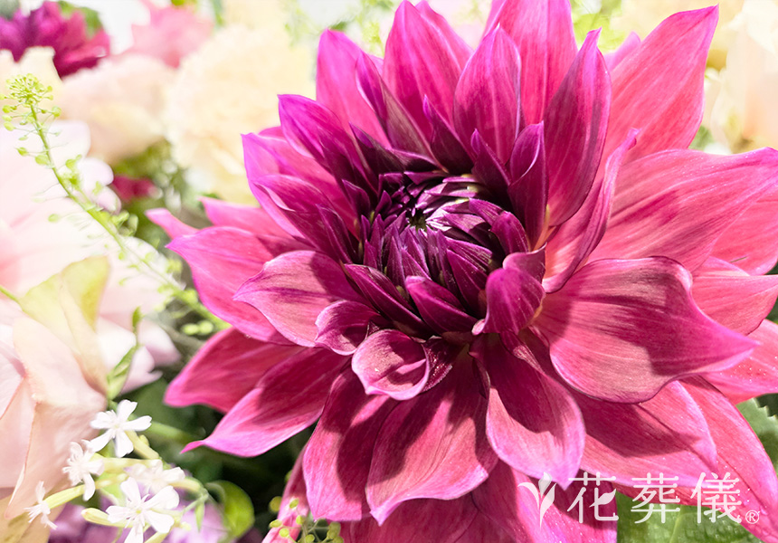 芍薬の花祭壇