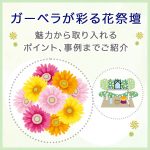 ガーベラが彩る花祭壇～魅力から取り入れるポイント・事例までご紹介