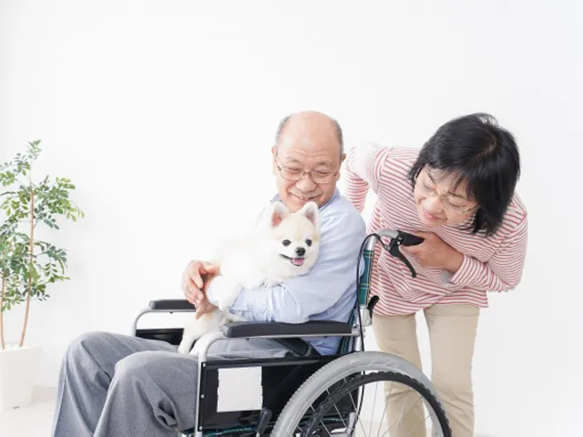 もしもの時、ペットを託せる預け先・後見人の準備