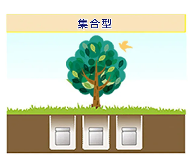 集合型