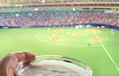 野球観戦のイメージ