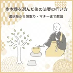 樹木葬を選んだ後の法要の行い方｜選択肢から段取り・マナーまで解説