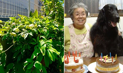 植物と動物が大好きだったお母様のお写真