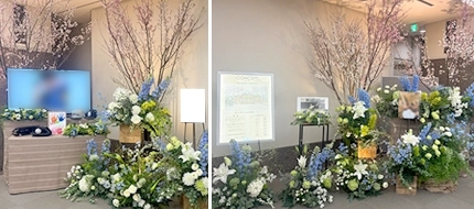 春のお花見のような満開桜の花祭壇